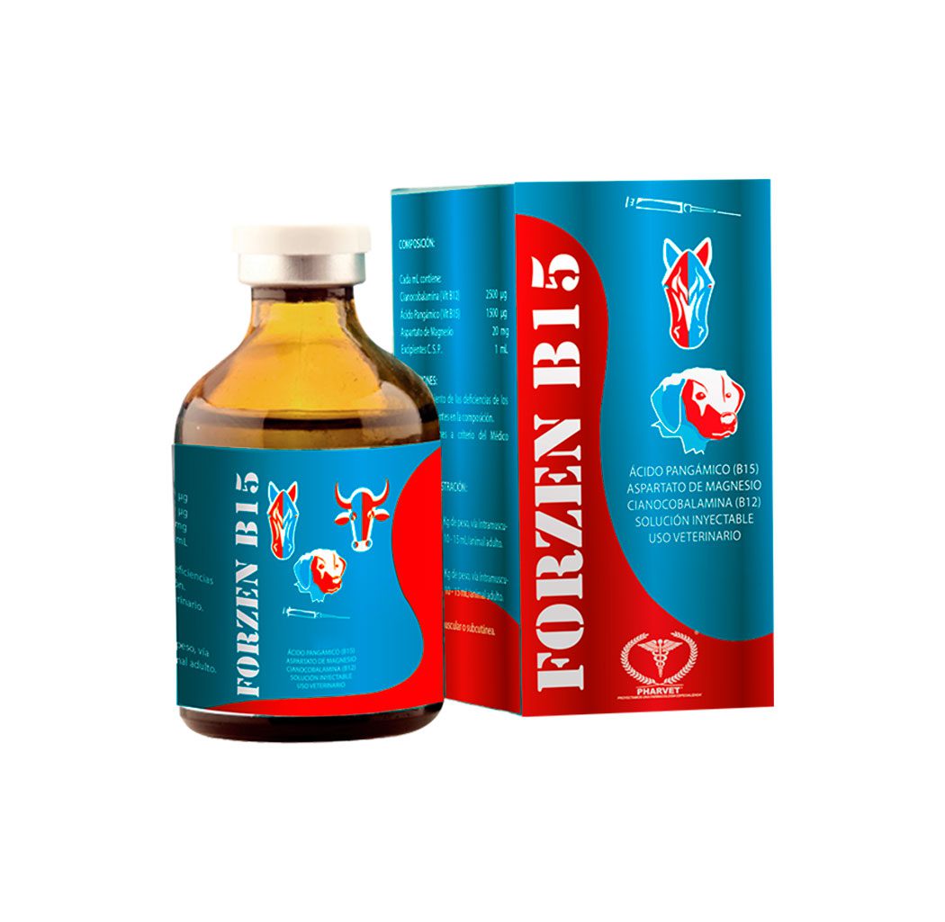 FORZEN B15 - Image 2