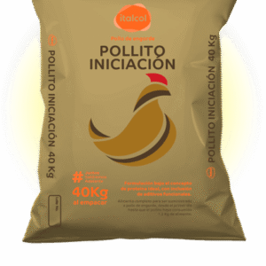 POLLITO INICIACIÓN DORADO