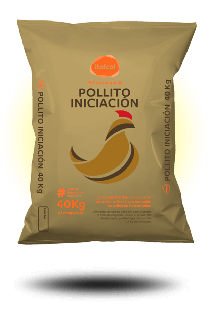 POLLITO INICIACIÓN DORADO